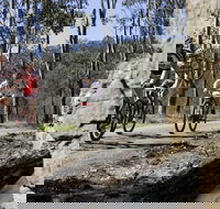 Wollombi Wild Ride Mountain Bike Ride - Accommodation 4U