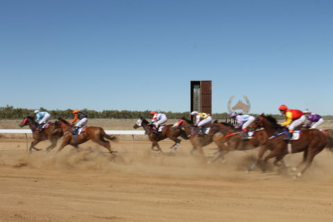 Annual Prairie Races - Accommodation 4U 1