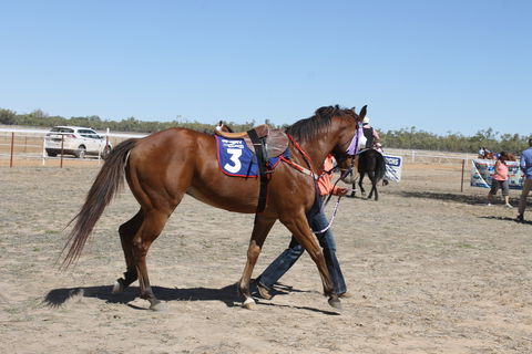 Annual Prairie Races - Accommodation 4U 2
