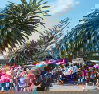 Annual Easter Show  Postponed  - Accommodation 4U