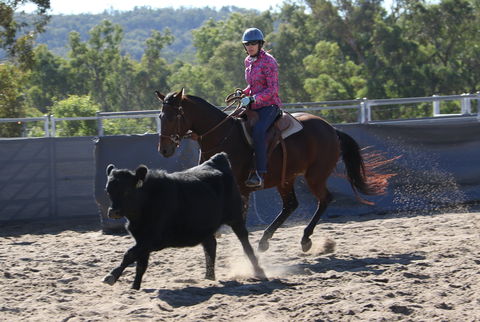 Australian Campdraft Association National Finals Campdraft 2021 - Accommodation 4U 1