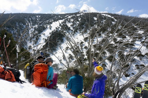 Avalanche Training Australia - Accommodation 4U 7
