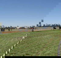 Balranald Races -Derby Day - Accommodation 4U