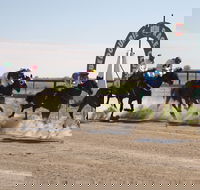 Bedourie Races and Rodeo - Accommodation 4U