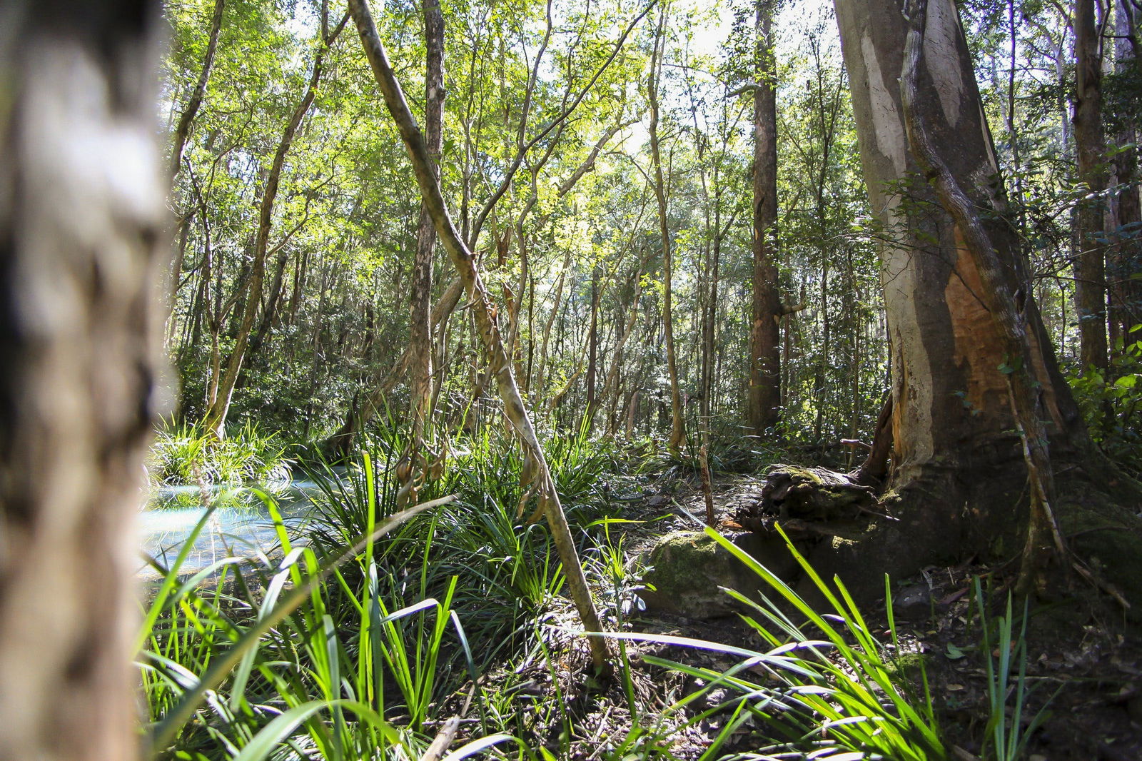 Herons Creek NSW Accommodation 4U