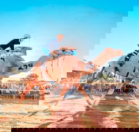 Boulia Camel Races - Accommodation 4U