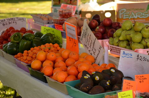 Centenary Park Charity Markets - Accommodation 4U 0