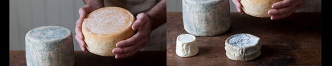Cheese Making Basics Class - Accommodation 4U 0