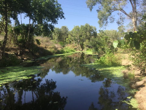 Conservation Volunteers Australia Townsville - Creekwatch - Accommodation 4U 0