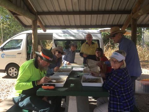 Conservation Volunteers Australia Townsville - Creekwatch - Accommodation 4U 1