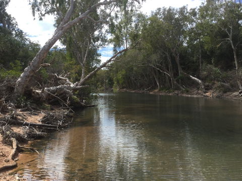 Conservation Volunteers Australia Townsville - Creekwatch - Accommodation 4U 2
