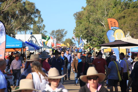 CRT FarmFest - Accommodation 4U 1