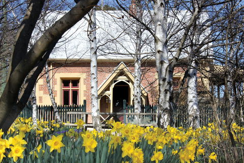 Daffodils At Rydal - Accommodation 4U 0