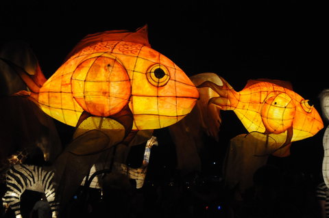 DREAM Festival: Music And Markets Event - Accommodation 4U 2