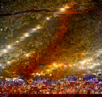 Festivale - Accommodation 4U