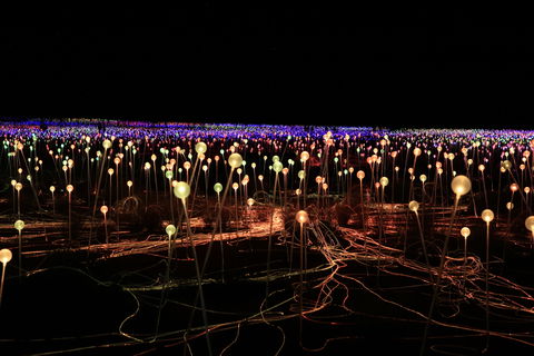 Field Of Light Uluru - Accommodation 4U 1
