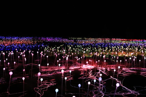 Field Of Light Uluru - Accommodation 4U 2