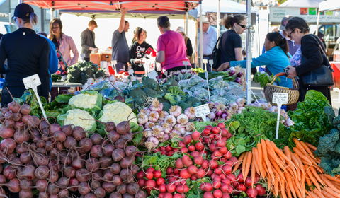 Harvest Launceston Community Farmers' Market - Accommodation 4U 2