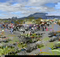 Hobart Showground Sunday Market - Weekly - Accommodation 4U
