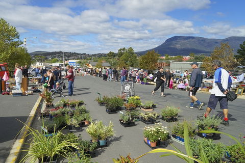 Hobart Showground Sunday Market - Weekly - Accommodation 4U 0
