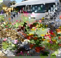 Johns River Country Markets - Accommodation 4U