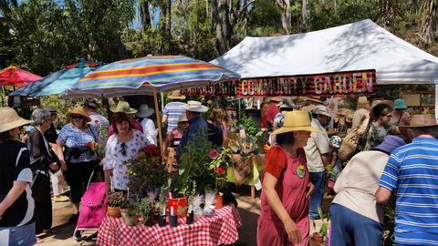 Karragarra Sea Market Festival - Accommodation 4U 0