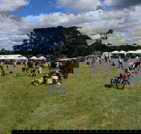 Majors Creek Festival - Accommodation 4U