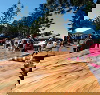 Maleny Wood Expo From Seed to Fine Furniture - Accommodation 4U