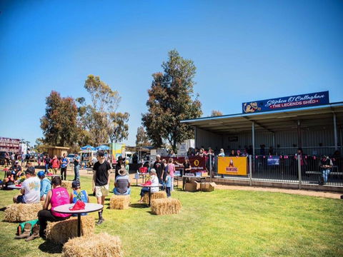 Mathoura Speed Shear And Annual Cancer Fundraiser - Accommodation 4U 0