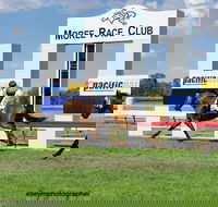 Moree Race Club TAB Race Day - Accommodation 4U