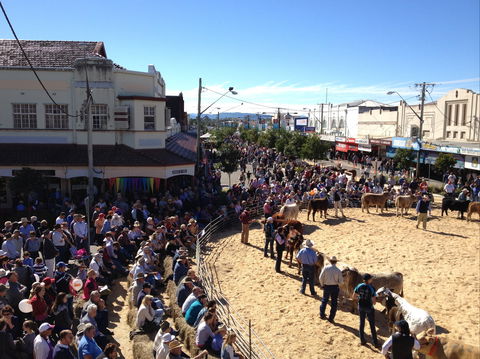 NCMC Casino Beef Week - Accommodation 4U 0