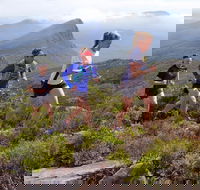 Peaks and Trails Run - Accommodation 4U