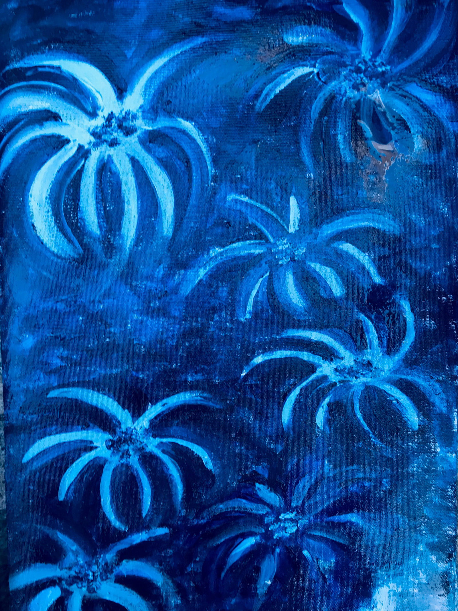 Thornlands QLD Accommodation 4U