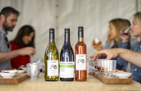 Southern Highlands Food And Wine Festival - Accommodation 4U 2