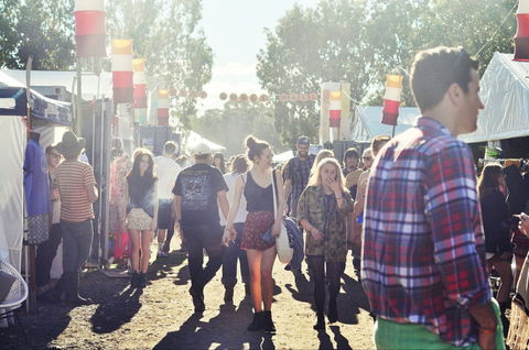 Splendour In The Grass - Accommodation 4U 1