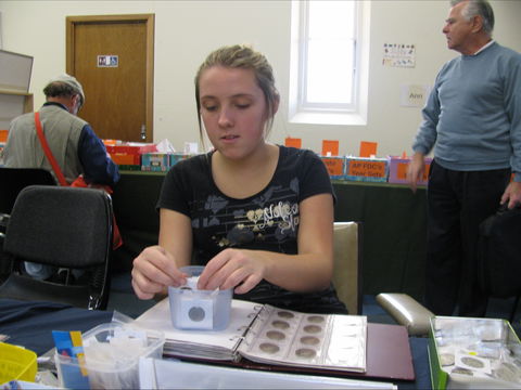 Stamp, Coin And Collectables Fair: September - Accommodation 4U 1