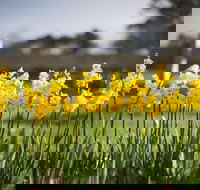 Sunday at Cruden Farm