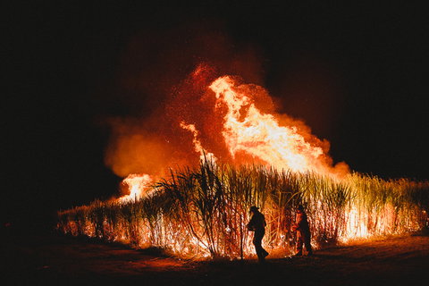 Sweet Days, Hot Nights Festival - Accommodation 4U 1