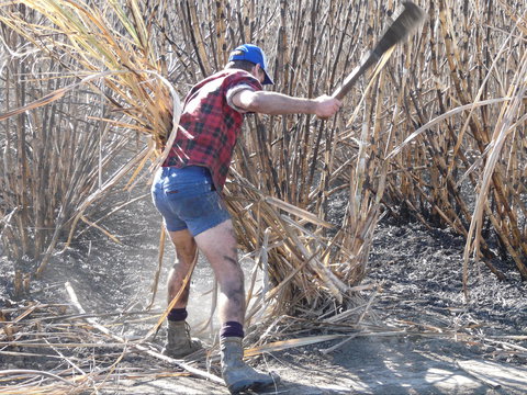 Sweet Days, Hot Nights Festival - Accommodation 4U 2