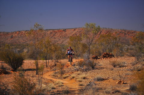 The Redback - Accommodation 4U 2