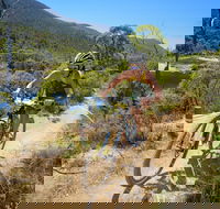 TreX Cross Triathlon Series  Snowy Mountains - Accommodation 4U