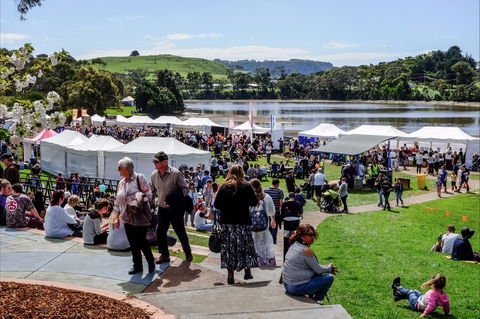 Tulip Festival Wynyard - Accommodation 4U 2