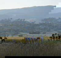 Tumut Cycle Classic - Accommodation 4U
