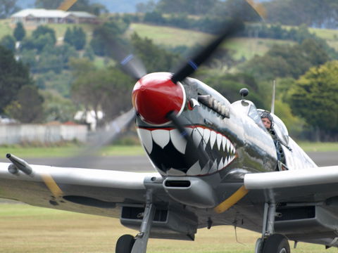 Wings Over Illawarra - Accommodation 4U 0