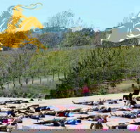 Yoga in the Vines - Accommodation 4U
