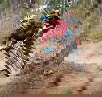 Fox Superflow sealed by Stan's Race  Greenvalleys - Accommodation 4U
