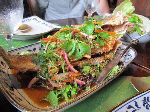 Thai Thonglor 55 - Accommodation 4U 0