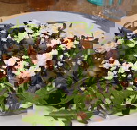 Food for All Seasons - Accommodation 4U