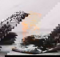 Only Mine - Accommodation 4U