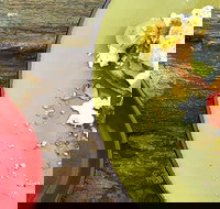 Tarnuk Room  Boon Wurrung Cafe - Accommodation 4U